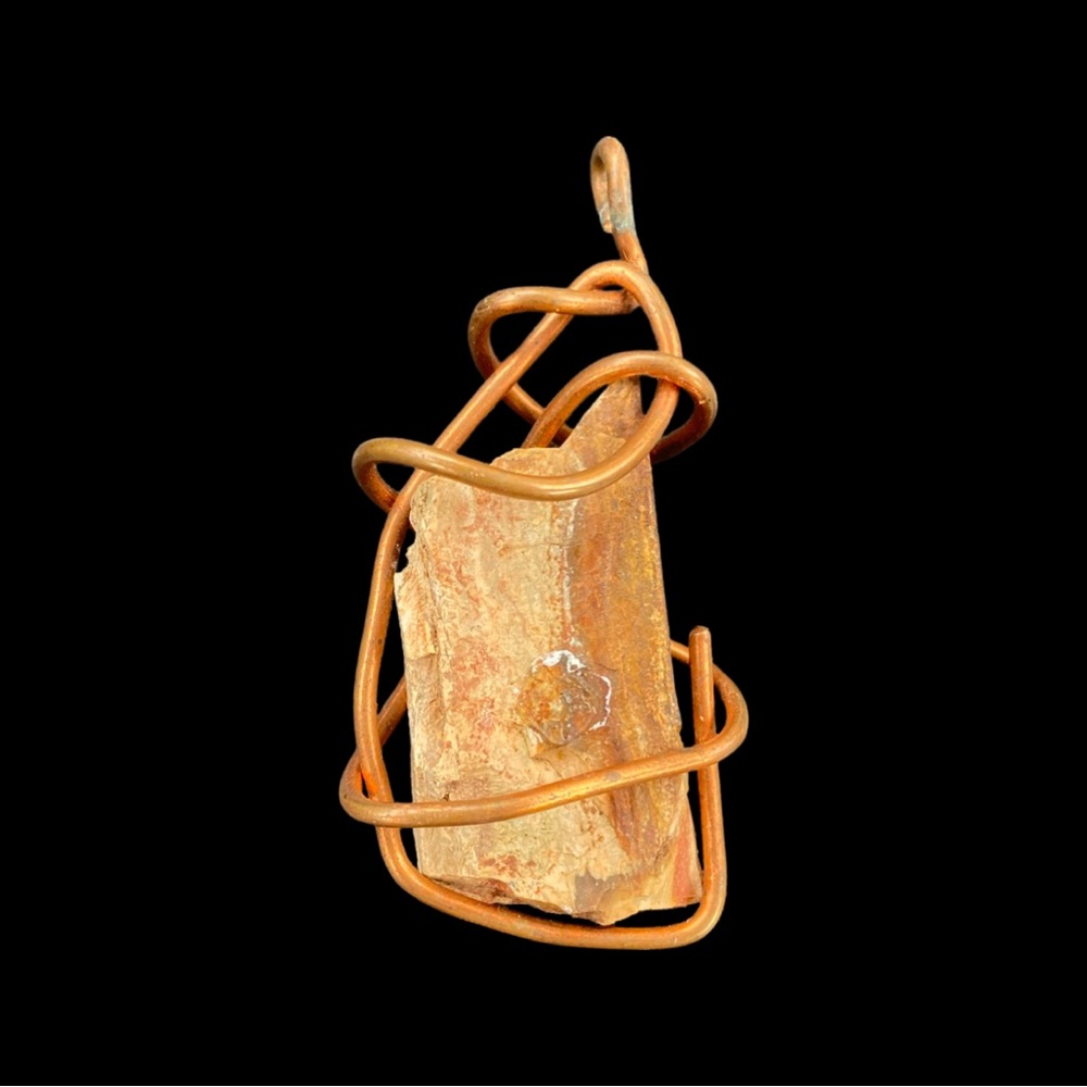Copper Wrapped Petrified Wood